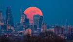 The London Cityscape Photographer Who Caught the Super Blue Blood Moon