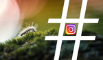 The Best Hashtags to Get Your Photos Seen on Instagram in 2018