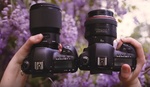 Sigma 85mm f/1.4 Art Versus Canon 85mm f/1.2L II Shootout: Which Wins?