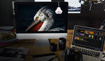 Datacolor Releases Faster, More Accurate SpyderX Monitor Calibration Tool