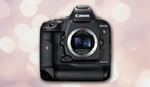 What Is Canon Planning for the 1D X Mark III?