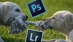 Photoshop Versus Lightroom: Which Do You Need More?