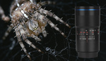 Fstoppers Reviews the Laowa 100mm f/2.8 2:1 Ultra Macro Lens