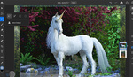 Adobe Releases Roadmap for Development of Photoshop for iPad