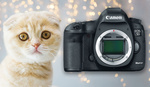 There Will Be No Canon 5D Mark V, and Photographers Will Lose out as a Result