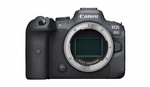5 Reasons to Avoid the Canon EOS R6