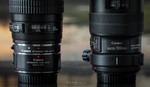 Which Is the Better Choice, A Macro Lens or Extension Tubes?