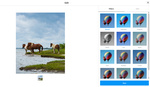 Photographers Can Now Upload to Instagram Directly From a Computer: Here's How