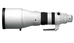Sigma Announces 300-600mm f/4 DG OS | Sports Lens for Sony E and L-Mount