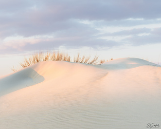 Soft Dunes, Pea Island by Ed Sanford