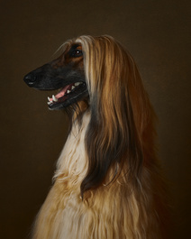 One True Prince by Alexander Khokhlov