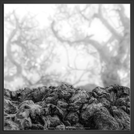 YIN-YAN by Vijay Mewada