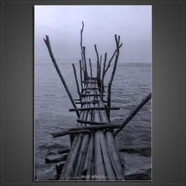 "FISH"WALK by Vijay Mewada