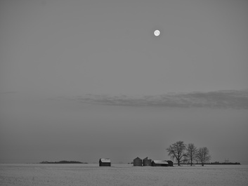 Good early morning by Rhonald Rose