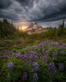 “Eye Of The Beholder” by John Perhach