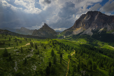 Endless green by Aharon Amram