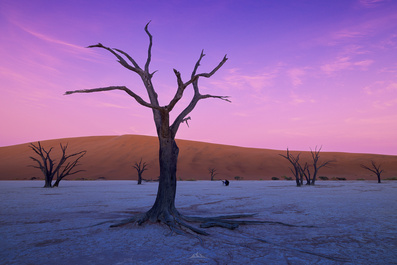 Deadvlei by Hugo Valle