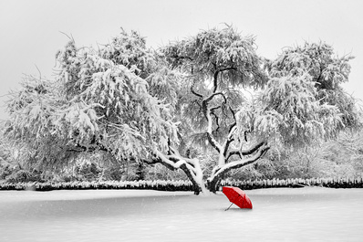 RED Umbrella by Hank Rintjema