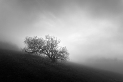 Old solitare by Vladimír Kucharovic