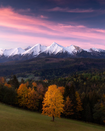 Diversis Stratis by Piotr Ciupka