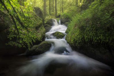 Cozy Place by Benjamin Höger