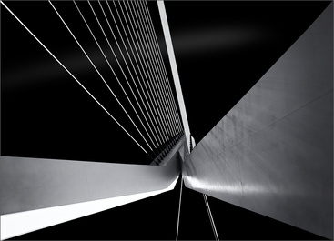 Erasmus Bridge_Rotterdam by Herbert A. Franke