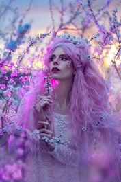 Plum Tree by Hanny Honeymoon