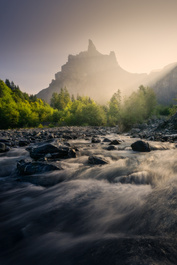 Morning Light by Jamil Slim