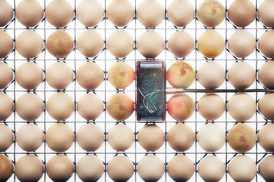 Breed by Ignace Maenhaut van Lemberge