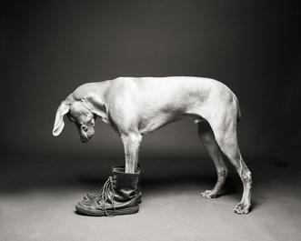 How did those get there? by Butch McCartney