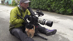 Japanese Wildlife Photographer Travels the Globe to Film Cats of the World