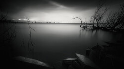 The Real Versus the Beautiful (Part 4): The Future of Photography and the Moral Compass