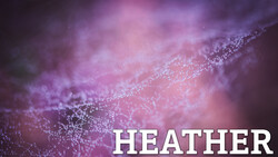 Purple Photograph Prowess: 9 Approaches to the Perfect Heather Picture