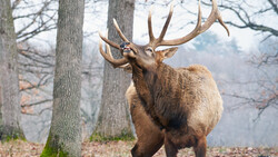 10 Reasons Why Wildlife Photographers Are Crazy