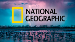 National Geographic's Best 52 Photos of 2016