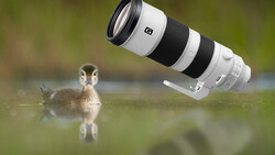 Fstoppers Long-Term Review of the Sony FE 200-600mm f/5.6-6.3 G OSS Lens