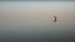 Person standing alone in shallow water with mirror-like reflections under overcast sky.
