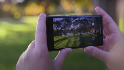 Hands holding a smartphone in landscape orientation, capturing a park scene with grass and trees through the camera viewfinder.