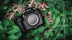 Nikon DSLR camera body positioned on moss and dried leaves in natural outdoor setting.