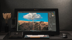 Screenshot of photo editing software displaying a landscape image of a solitary tree against blue sky on a monitor.