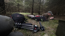 Filmmaker lying prone on forest ground operating a cinema camera on a tripod during outdoor shoot.