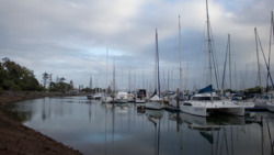 Sailboats moored in calm harbor water with perfect mirror reflections under overcast sky.