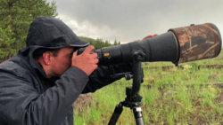 Photographer using a telephoto lens on a tripod in an open field with overcast sky and evergreen trees in background.