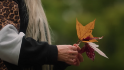 Person in black jacket holding autumn leaves with blurred green background.