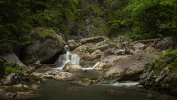 Small waterfall cascades over moss-covered boulders in a forested stream surrounded by dense green vegetation.