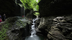 Narrow gorge with cascading water flowing between steep layered rock walls and lush green canopy above.