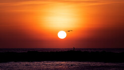 Bright sun setting over ocean horizon with silhouetted figure and bird in flight against orange sky.