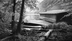Covered bridge spanning a calm lake, surrounded by dense forest and fallen logs in the foreground.