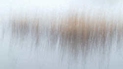 Abstract motion blur with vertical streaks transitioning from white to warm brown and gray tones.