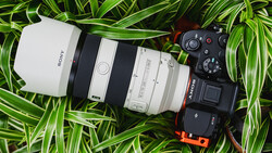 Sony mirrorless camera with attached telephoto lens on striped green foliage background.